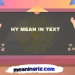 hy mean in text