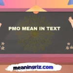 pmo mean in text