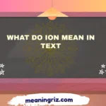 what do ion mean in text