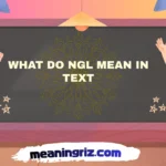 what do ngl mean in text