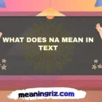 what does na mean in text