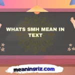 whats smh mean in text