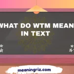 what do wtm mean in text