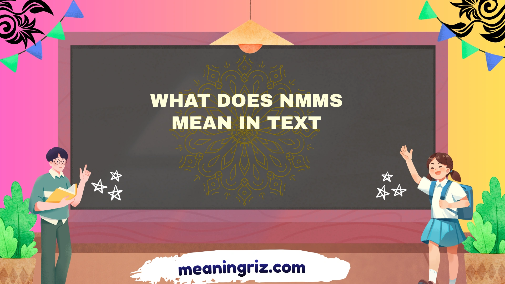 what does nmms mean in text