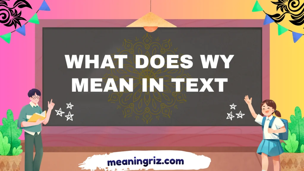 what does wy mean in text