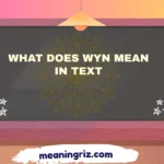 what does wyn mean in text