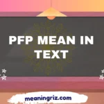 pfp mean in text