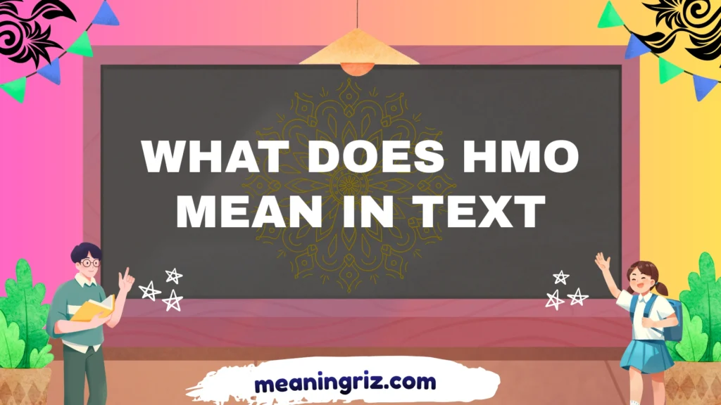 what does hmo mean in text