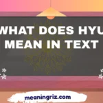 what does hyu mean in text