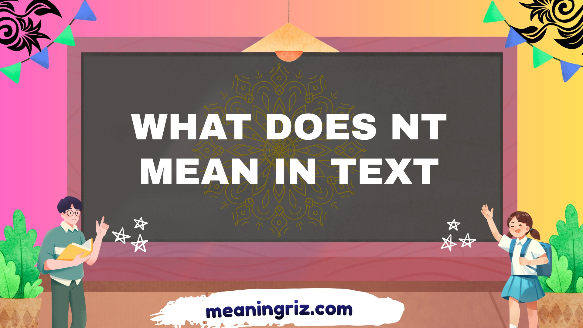 what does nt mean in text
