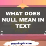 what does null mean in text