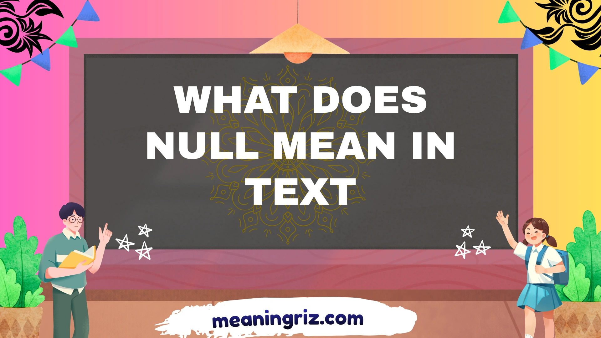 what does null mean in text