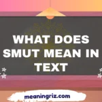 what does smut mean in text