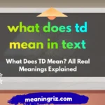 what does td mean in text