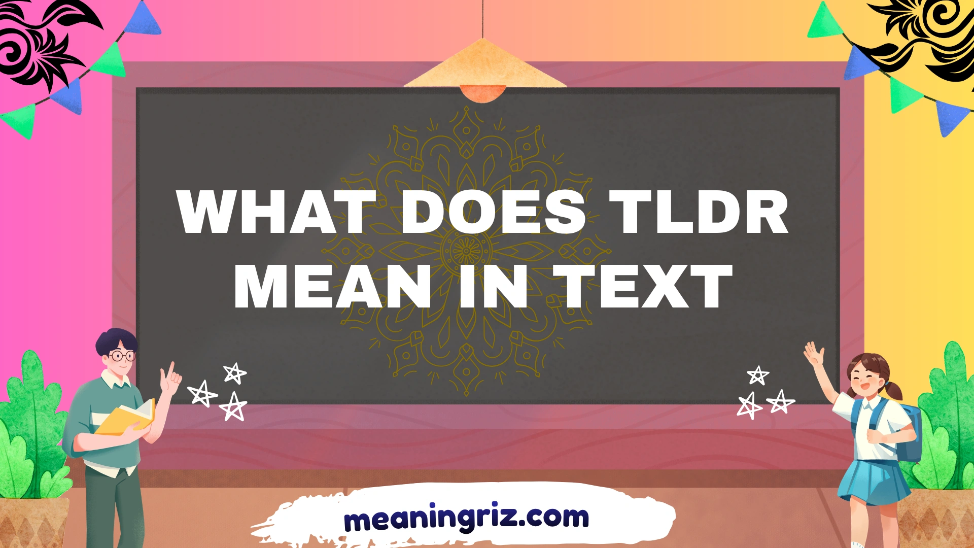 what does tldr mean in text