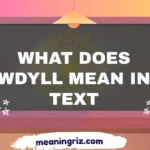 what does wdyll mean in text
