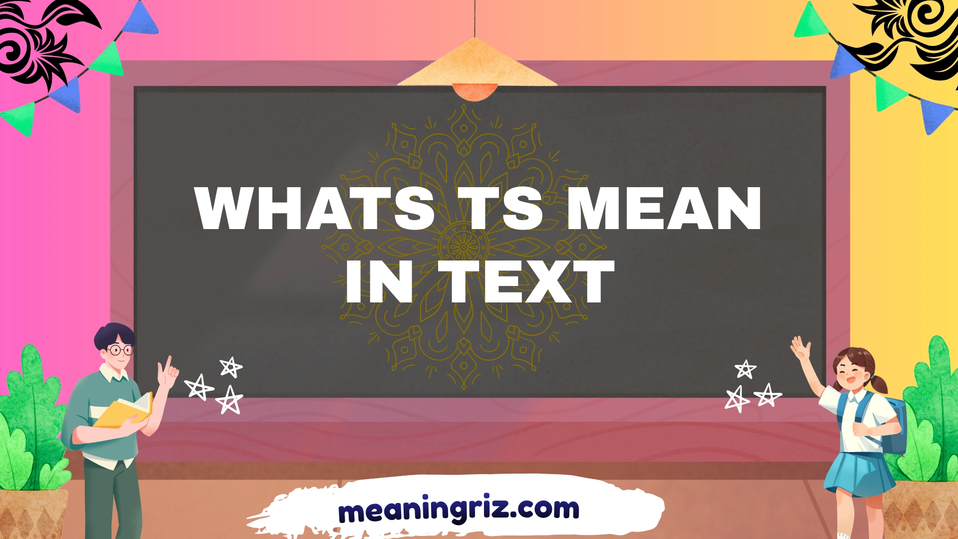 whats ts mean in text