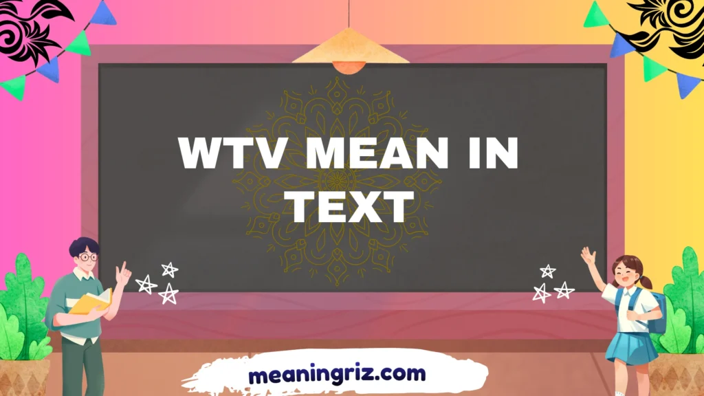 wtv mean in text