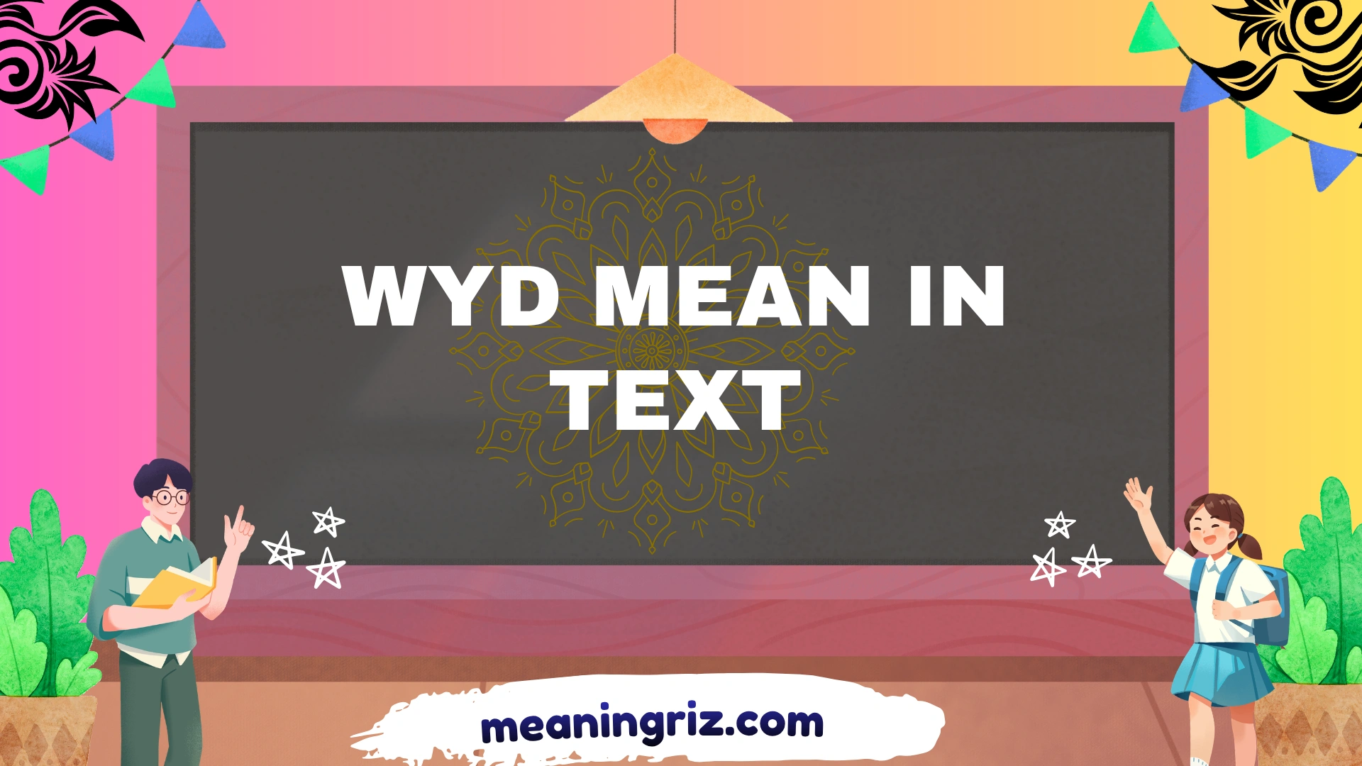wyd mean in text