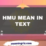 hmu mean in text