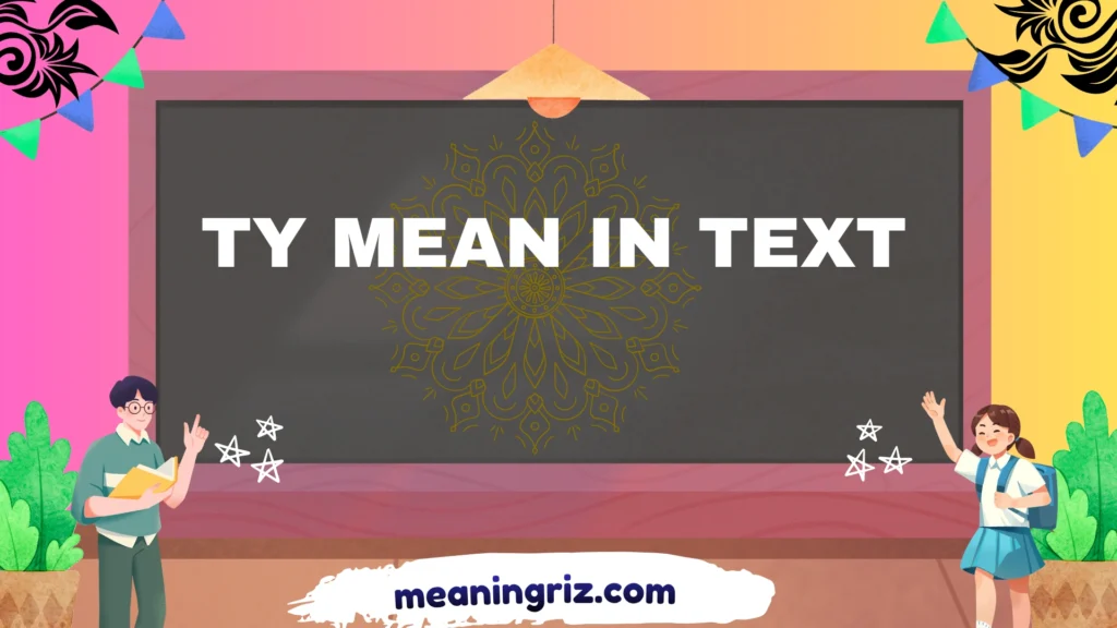 ty mean in text