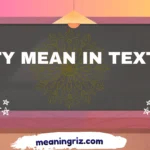 ty mean in text