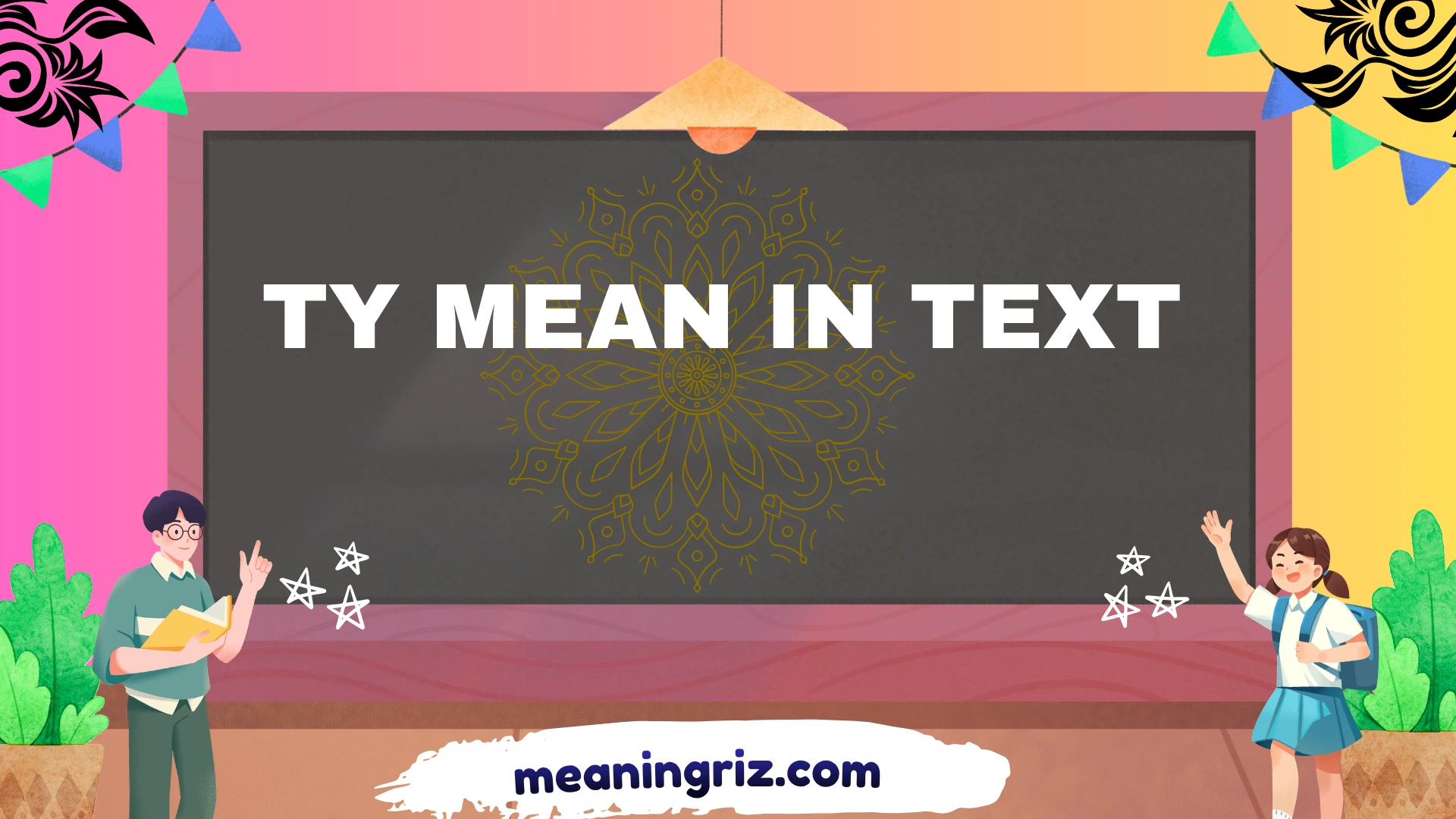 ty mean in text