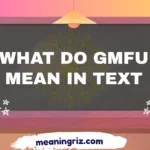 what do gmfu mean in text