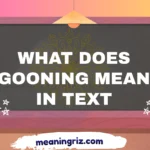 what does gooning mean in text
