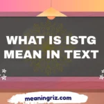 what is istg mean in text