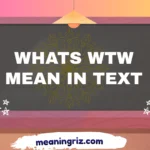 whats wtw mean in text