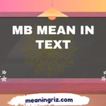 mb mean in text