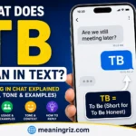 tb mean in text