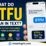 what do stfu mean in text