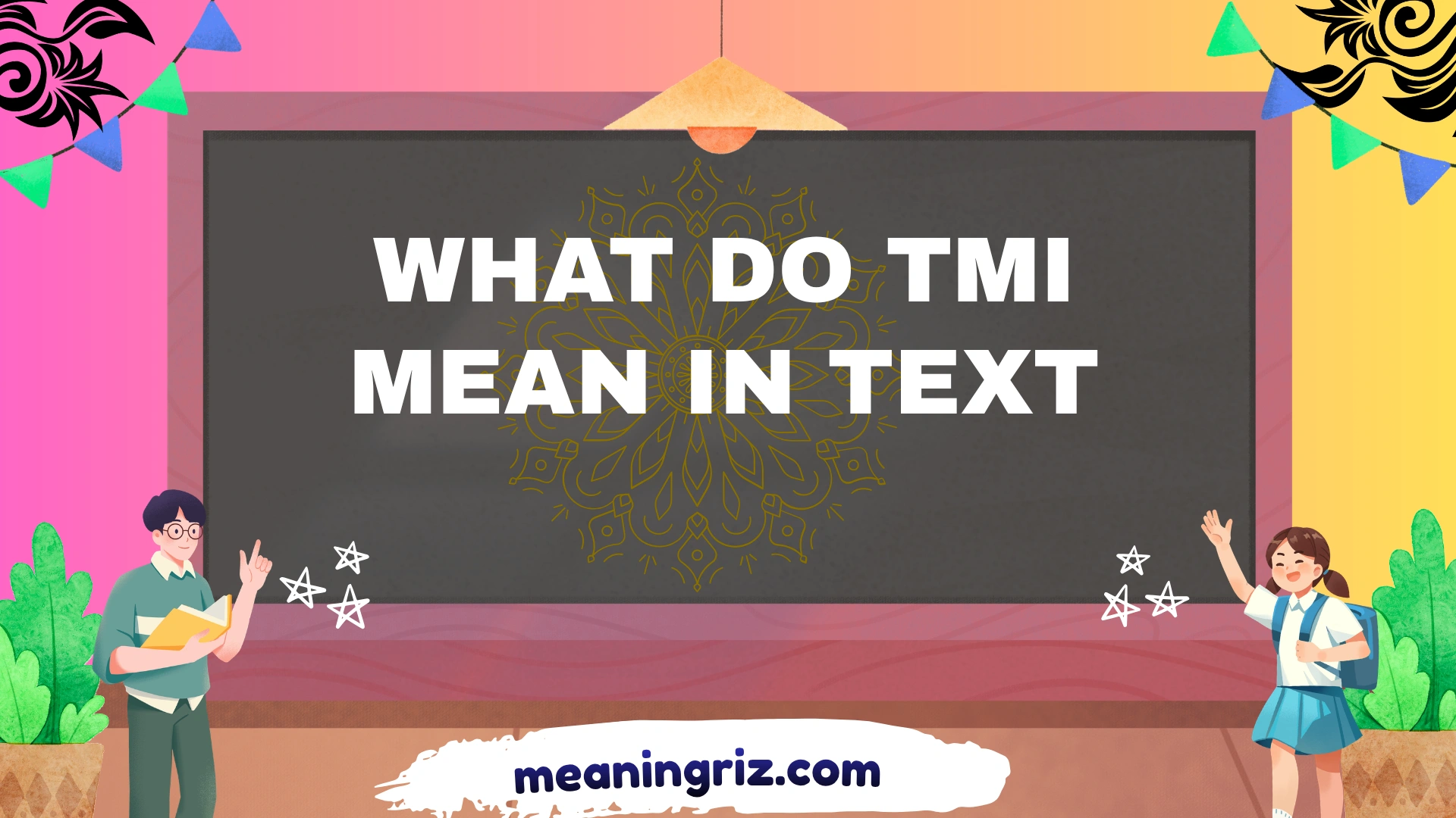 what do tmi mean in text
