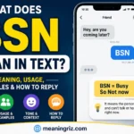 what does bsn mean in text