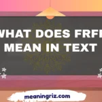 what does frfr mean in text