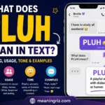 what does pluh mean in text