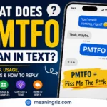 what does pmtfo mean in text