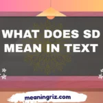 what does sd mean in text