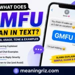 what gmfu mean in text