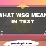 what wsg mean in text