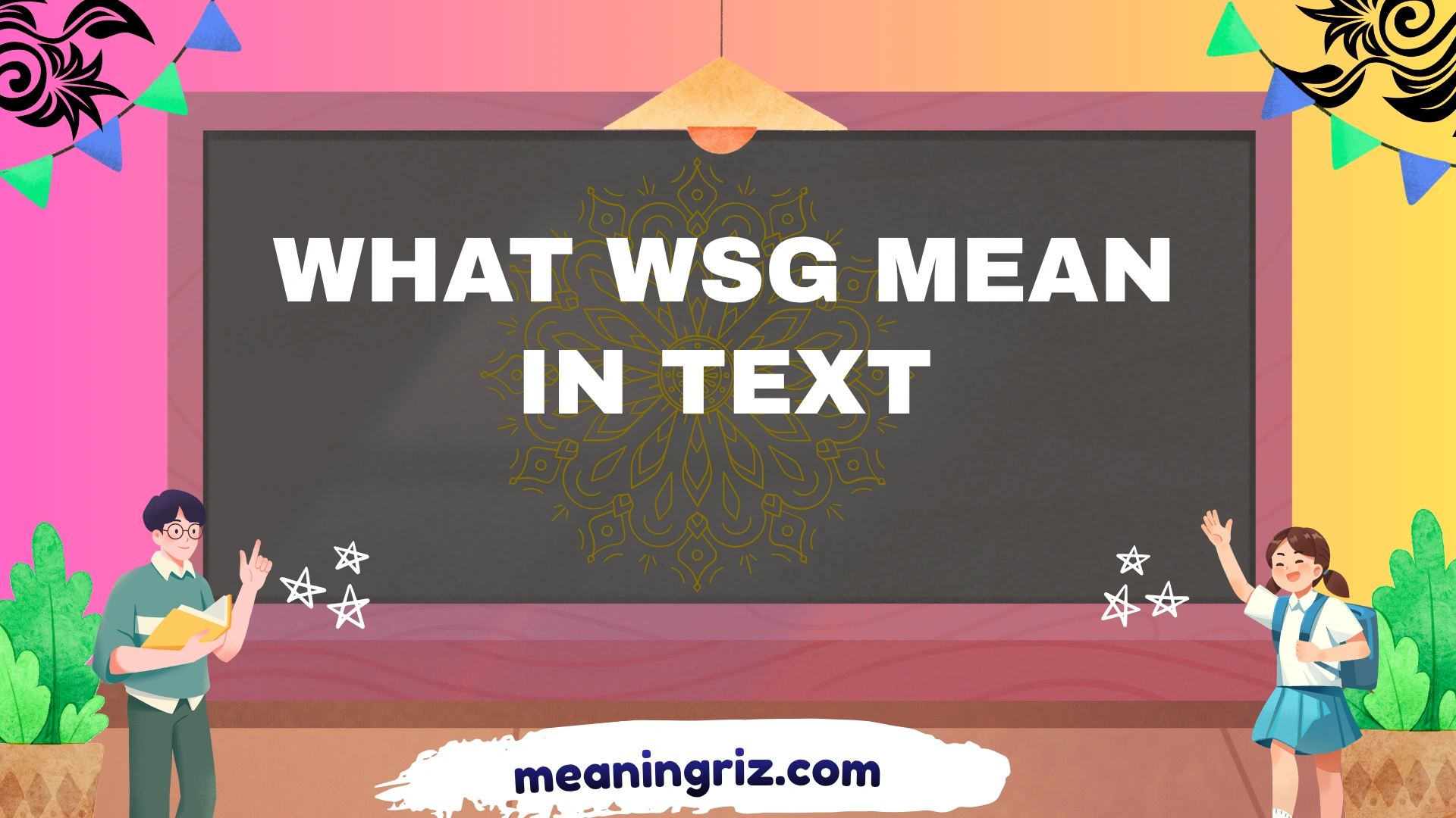 what wsg mean in text