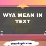 wya mean in text
