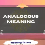 analogous meaning