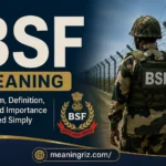 bsf meaning