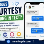 courtesy meaning