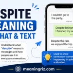 despite meaning in chat