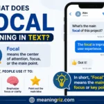 focal meaning