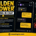 golden shower meaning in chat